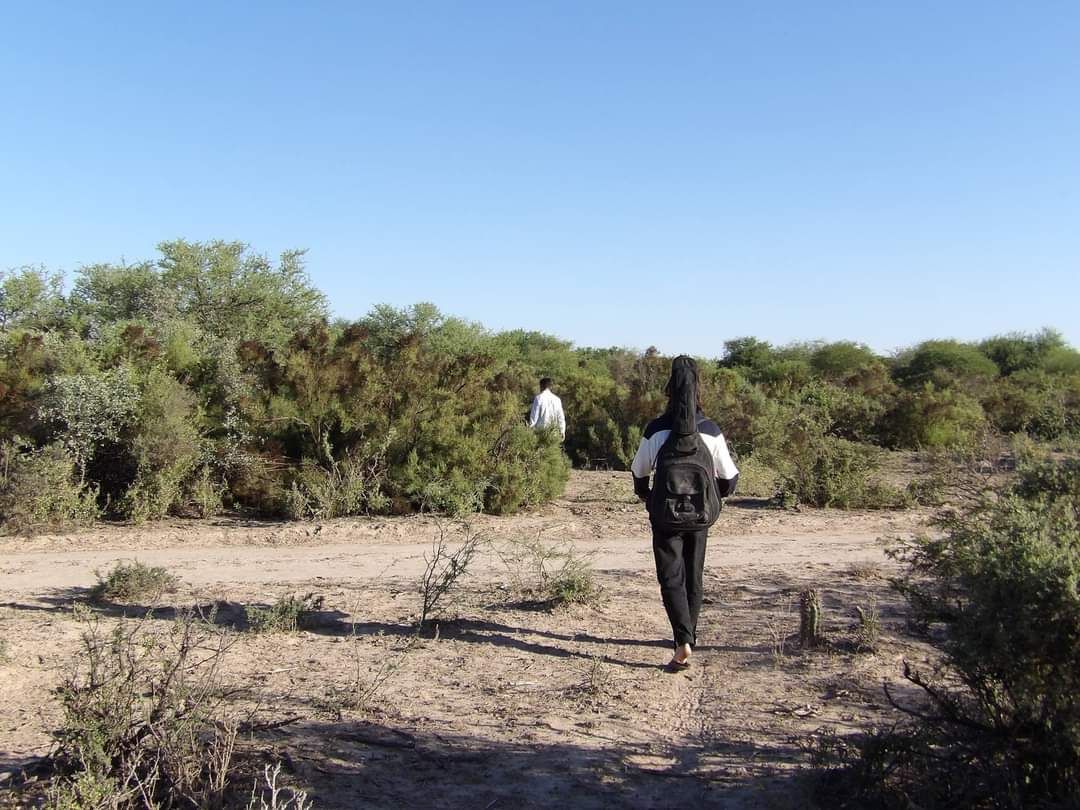 Caminhando pelo monte santiagueño, entre arbustos e terra seca